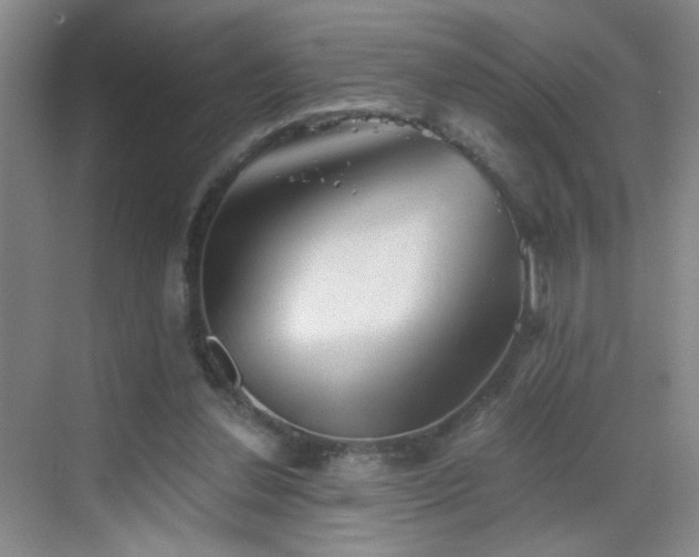 X0000069810252200605221211