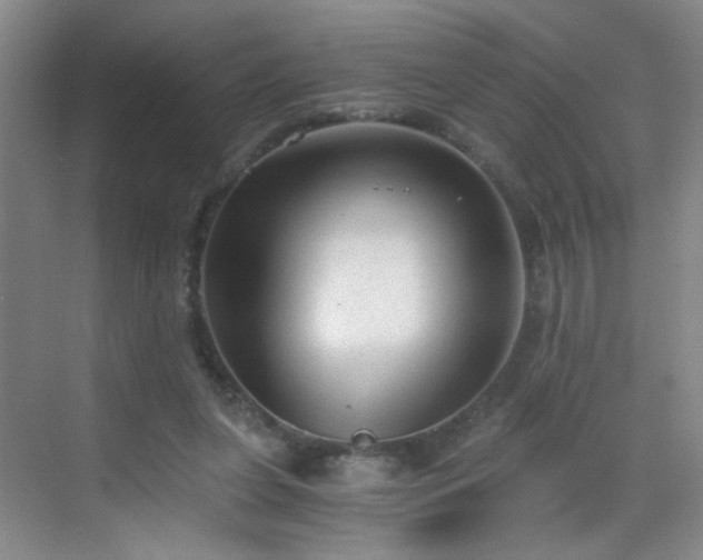 X0000069810255200605221212