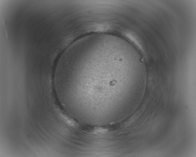 X0000069810257200605221212