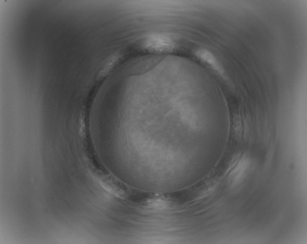 X0000069810259200605221212