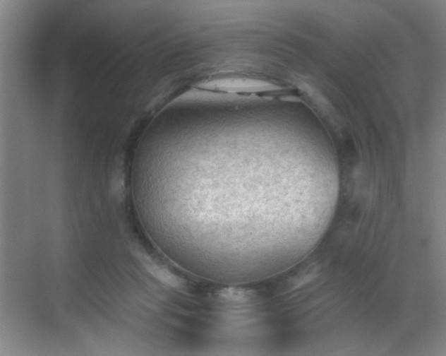 X0000069810261200605221212