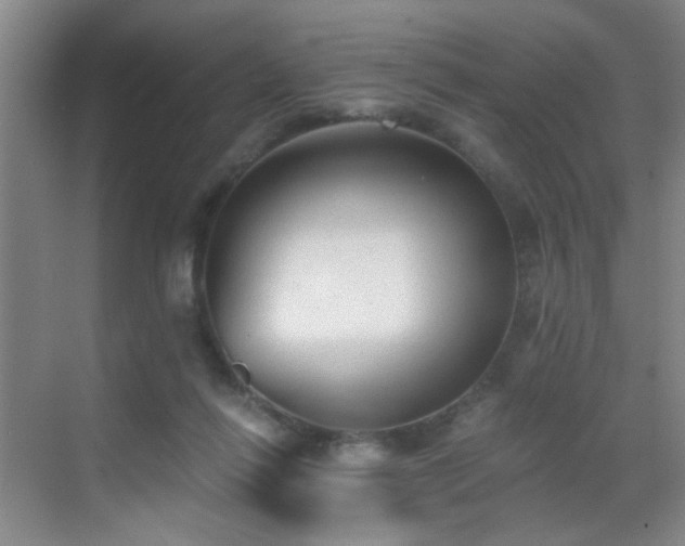 X0000069810262200605221212