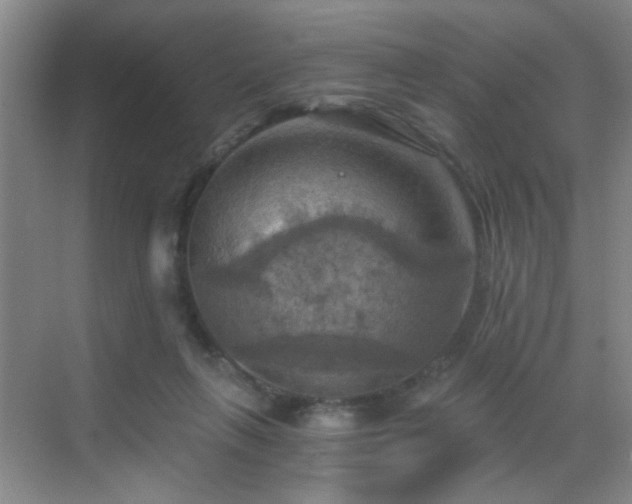 X0000069810263200605221212