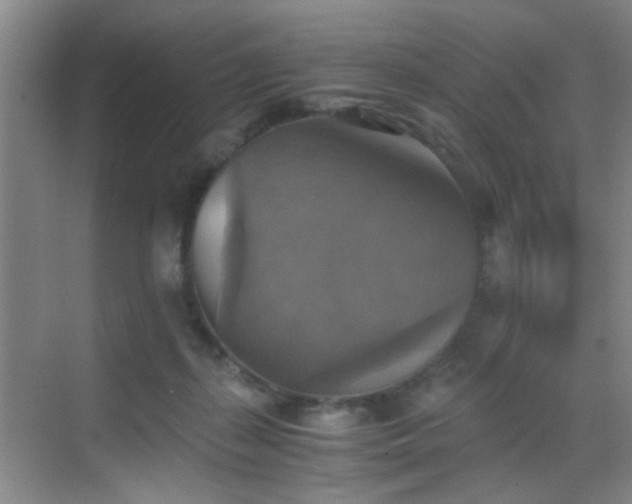 X0000069810267200605221212