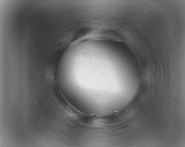 X0000069810268200605221212