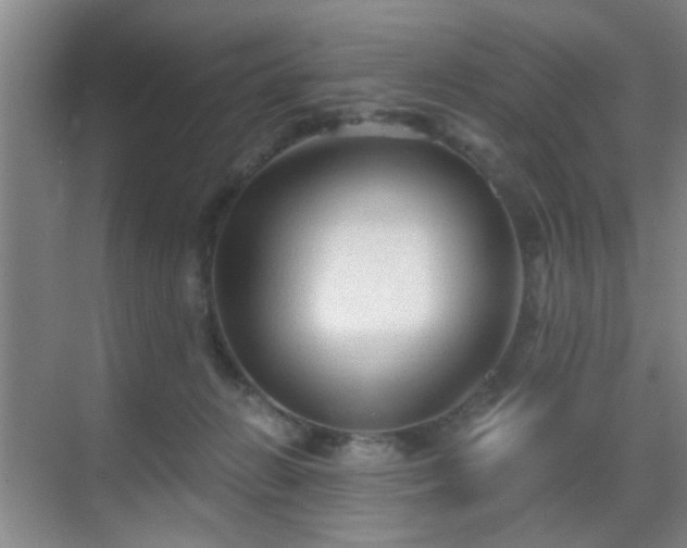 X0000069810270200605221212