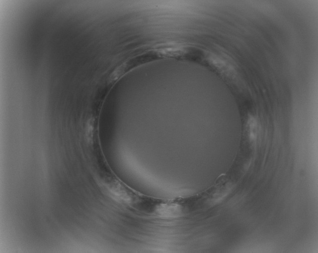 X0000069810271200605221212