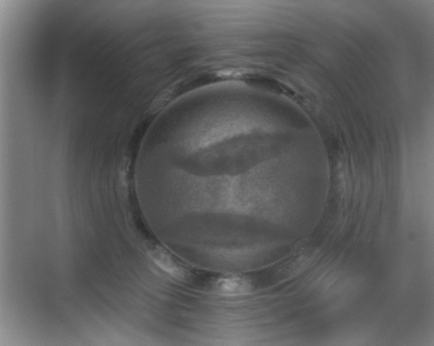 X0000069810275200605221212