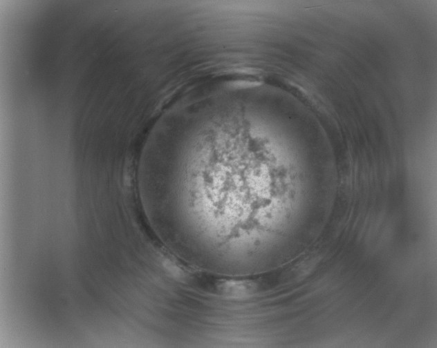 X0000069810277200605221212