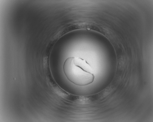 X0000069810278200605221212