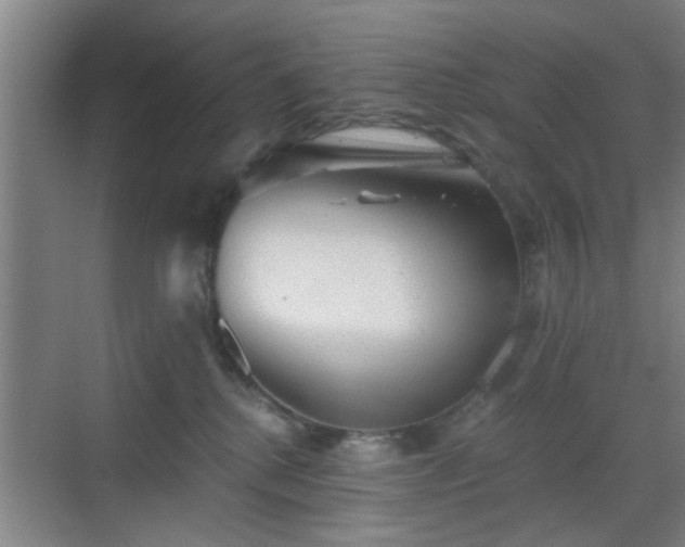 X0000069810280200605221212