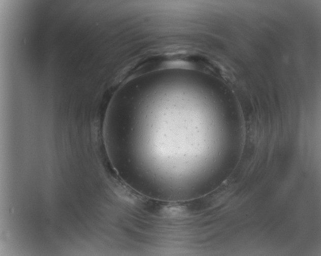 X0000069810283200605221212