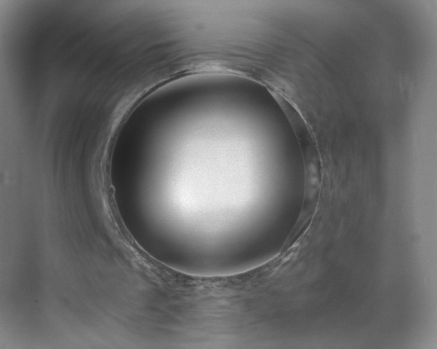 X0000069810289200605221211