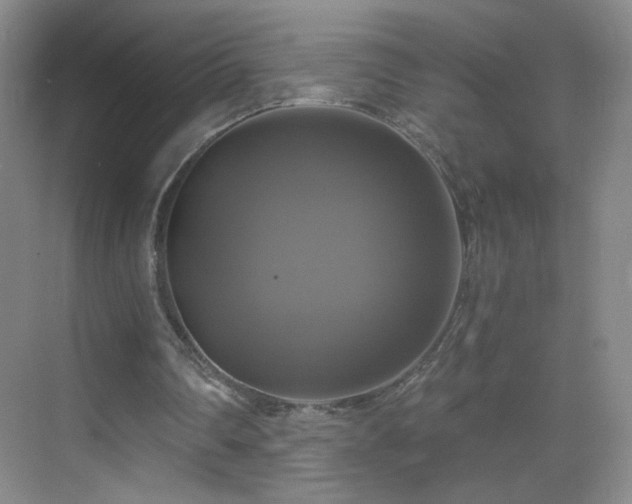 X0000069810290200605221211