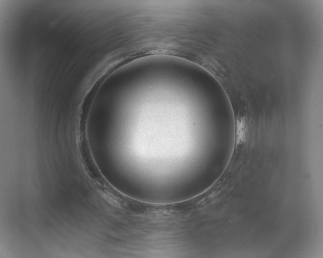 X0000069810291200605221211