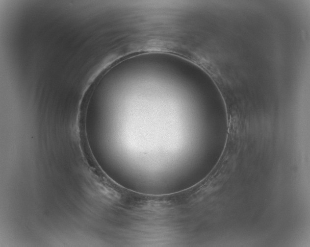 X0000069810292200605221211