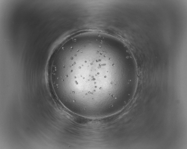 X0000069810294200605221211