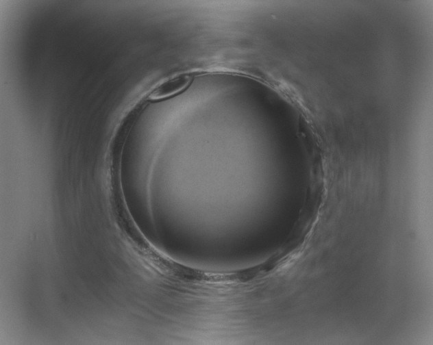 X0000069810295200605221211