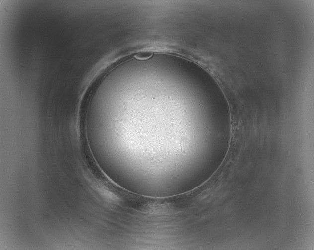 X0000069810296200605221211