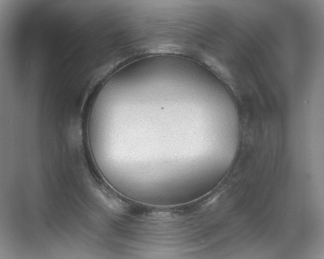 X0000069810298200605221211