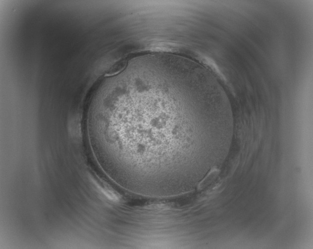 X0000069810299200605221211