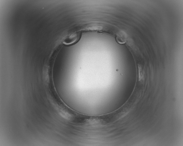 X0000069810300200605221211