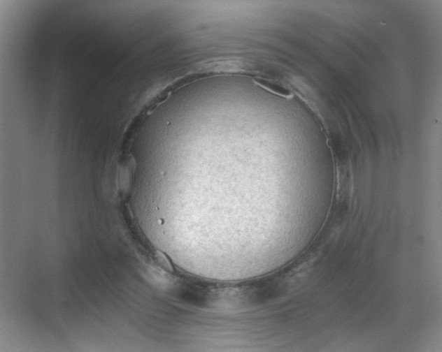 X0000069810301200605221211