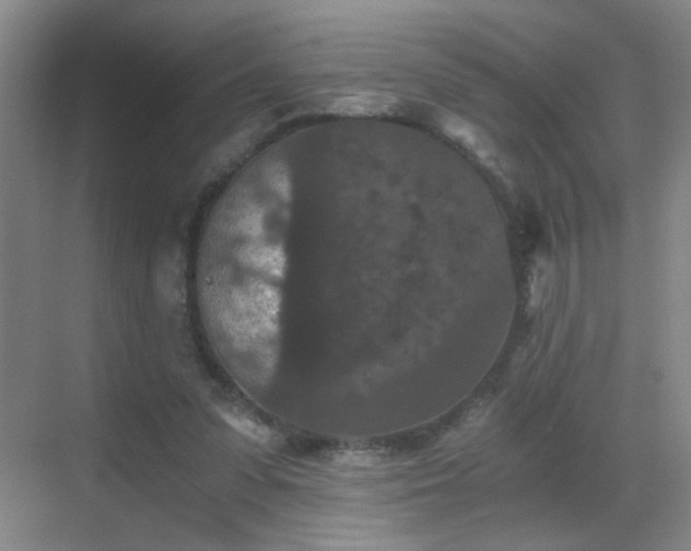 X0000069810303200605221211