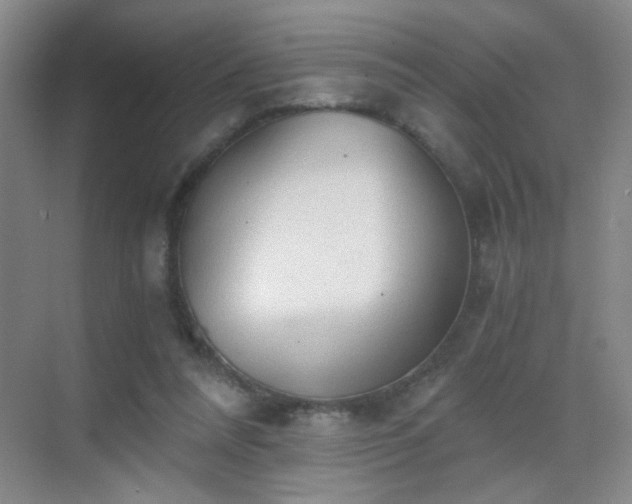 X0000069810304200605221211