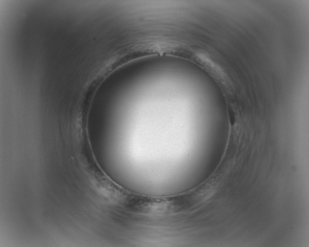 X0000069810306200605221211