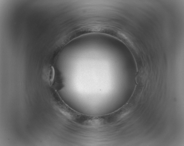 X0000069810307200605221211