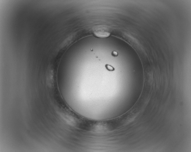 X0000069810308200605221211