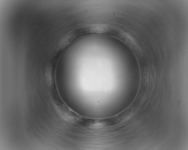 X0000069810312200605221211