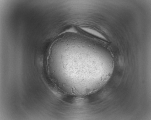 X0000069810315200605221211