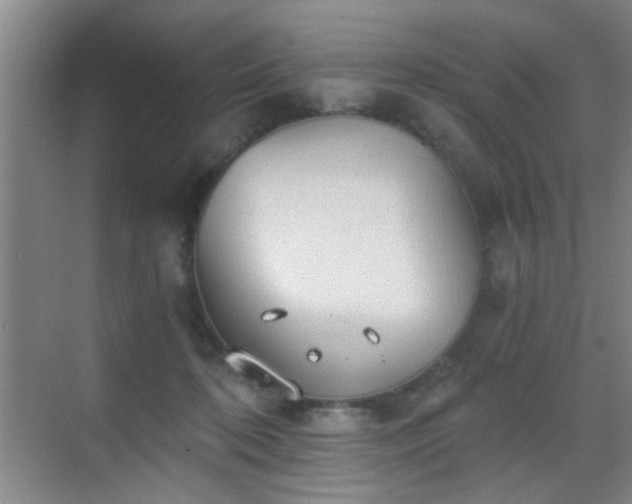 X0000069810316200605221211