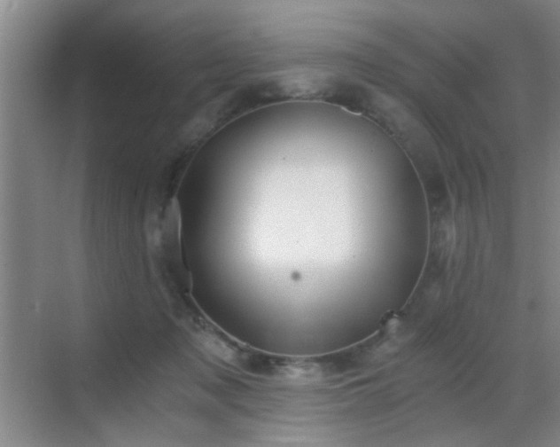 X0000069810317200605221211