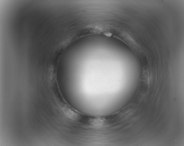 X0000069810318200605221211