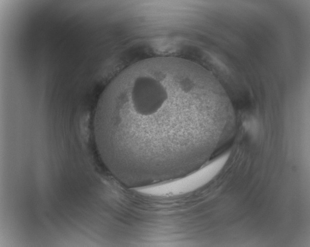 X0000069810319200605221211