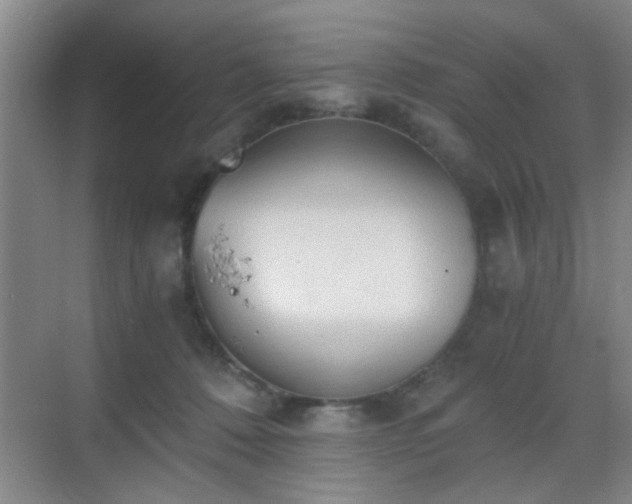 X0000069810320200605221211