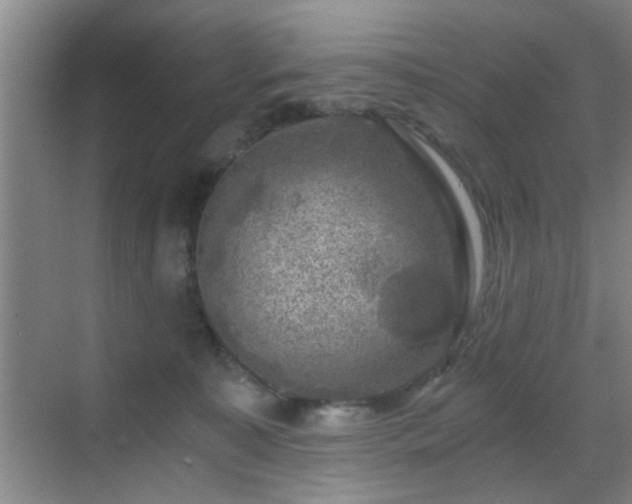 X0000069810323200605221211