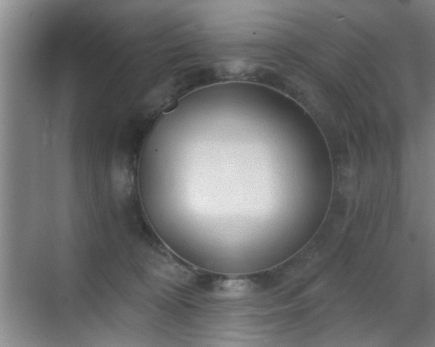 X0000069810324200605221211