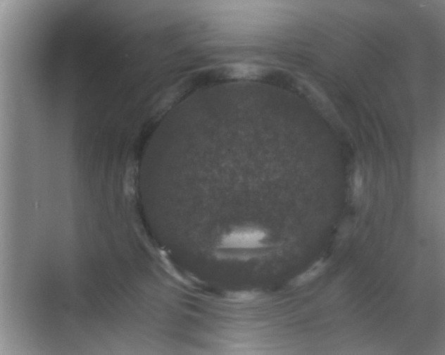 X0000069810325200605221211