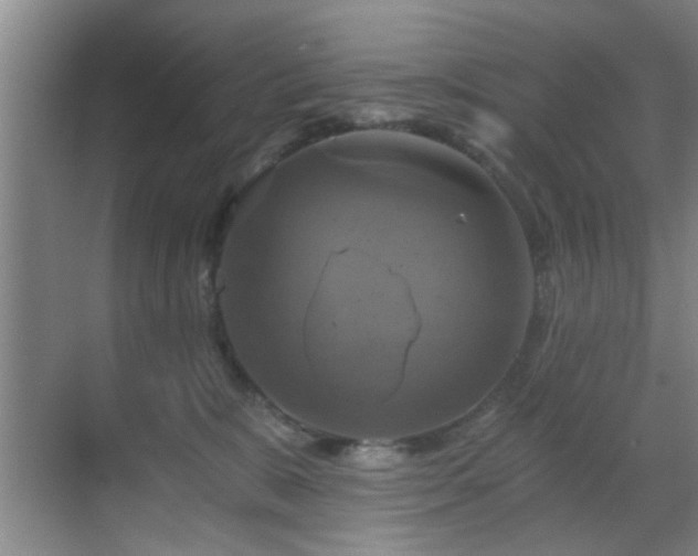 X0000069810327200605221211