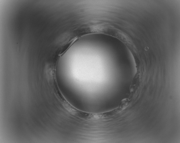 X0000069810329200605221211