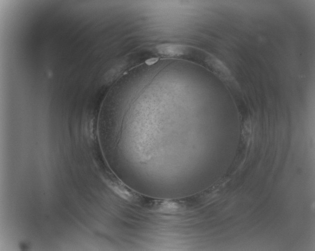 X0000069810330200605221211