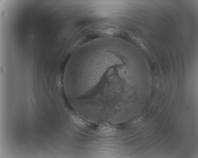 X0000069810331200605221211