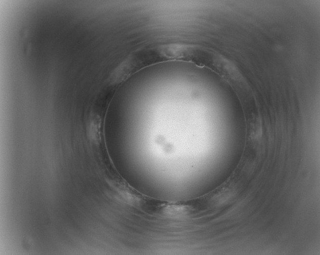 X0000069810332200605221211