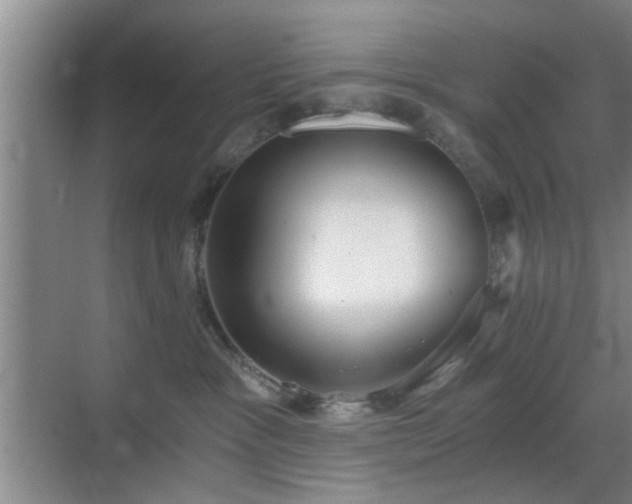 X0000069810333200605221211