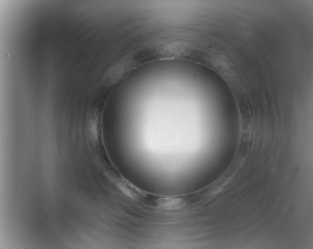 X0000069810334200605221211