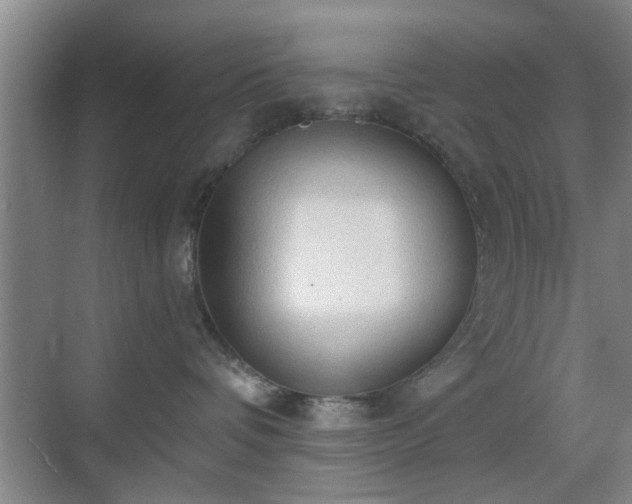 X0000069810336200605221210